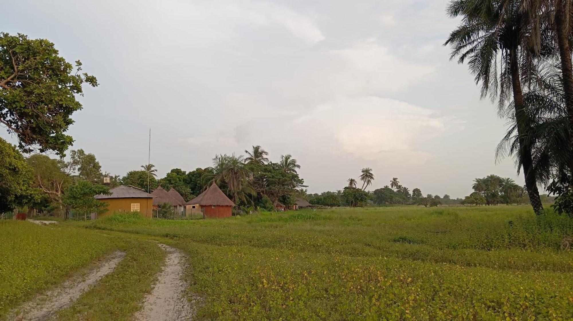 Campement Graine De Paradis Kachiouane المظهر الخارجي الصورة